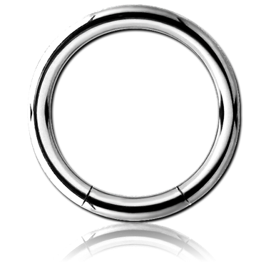 16G SURGICAL STEEL HINGED SEGMENT RING
